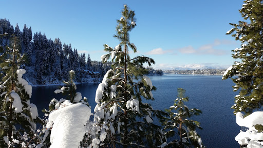 Hayden Lake Realty - Thumbnail