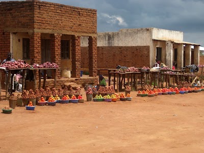 Photos of Tomato Vendors