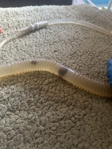 Revitalise Wellness Centre, Colonic Hydrotherapy in Preston, Lancashire Northwest