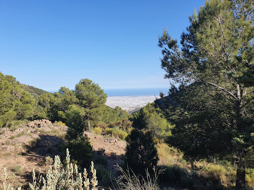 Mirador Tay
