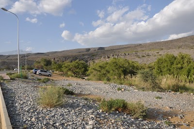 وادي المصلة