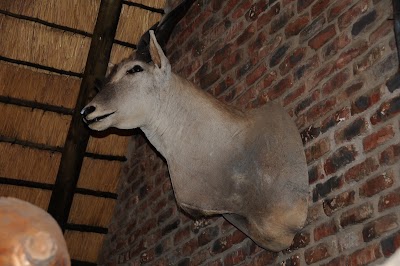 Photos of Lentswe Lodge