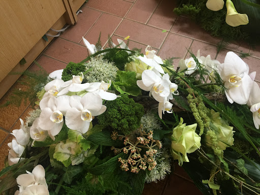 Blumen Weber - Visual