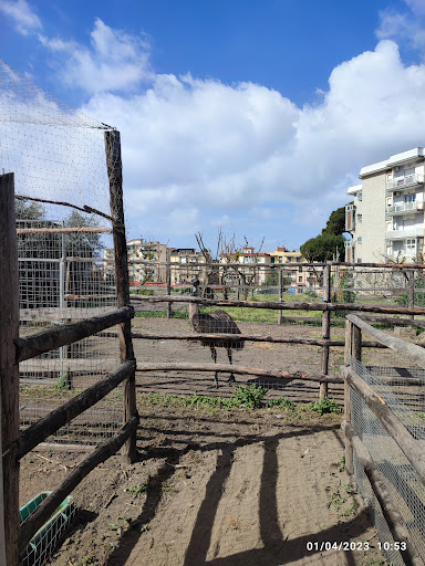 Agripark - Visual