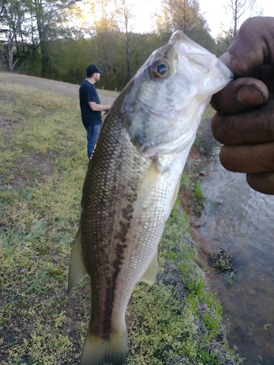 Redbud Lake