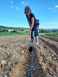 Photo n°7 de Lou Safran Mayenne à Gesvres (Ferme bio)