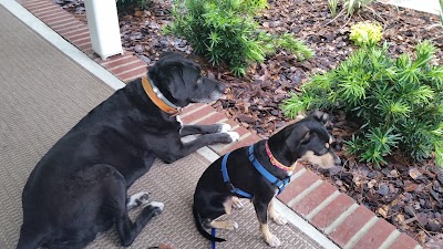 Photos of Wolfe Animal Hospital PC