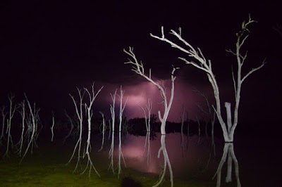 Photos of Boshack Outback - Perth Farmstay
