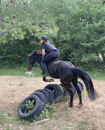 Photo n°9 de Les ecuries du mistral à La Bastide-des-Jourdans (Centre équestre)