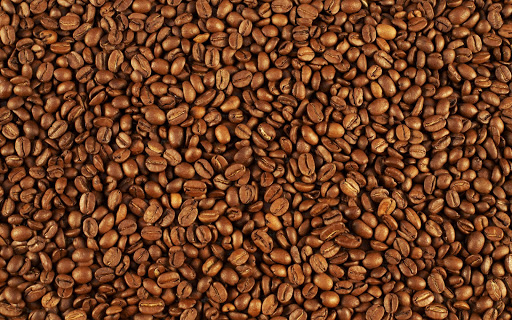 Mojo Coffee - Visual