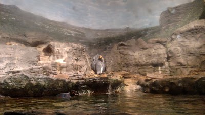Photos of Cincinnati Zoo & Botanical Garden