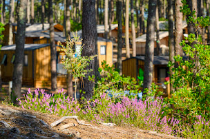 Photo n°30 de Wellness Sport Camping Carcans à Carcans (Terrain pour camping-cars)