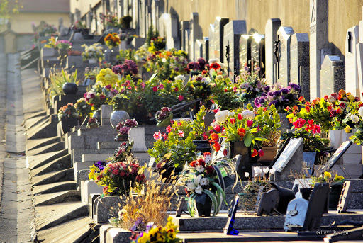 Cimetière communal de Bron - Thumbnail