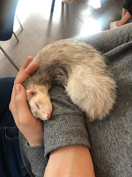 Photo n°14 de Keyce Santé - École de santé à Montpellier à Mauguio (Centre de formation)