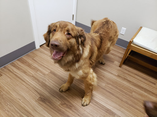 Poulsbo Animal Clinic