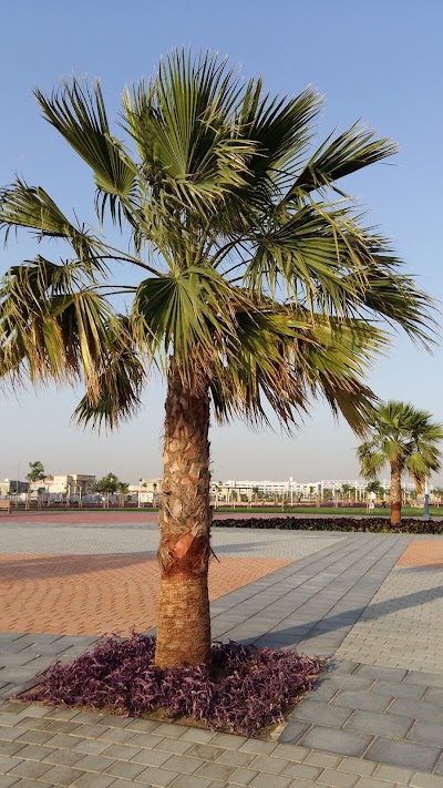 Photos of Al Warqa 3 Park