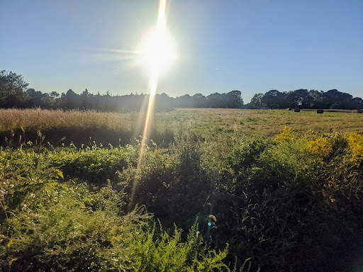Avondale Farm Preserve - Thumbnail