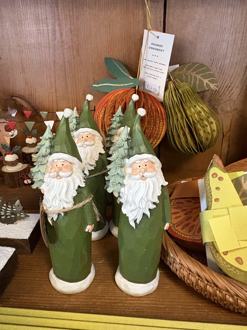 The Purple Parrot photo 2