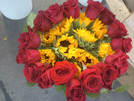 Flowers at haskell