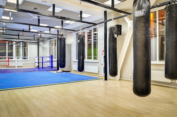 Алекс фитнес новосибирск родники