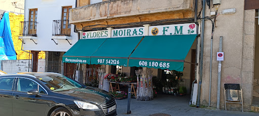 Flores Moiras - Thumbnail