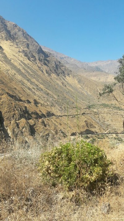 photo of Vrindavan Perú Jardín ecológico