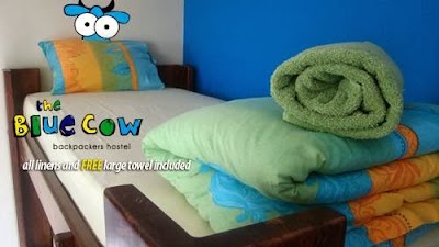 Photos of Blue Cow Hostel