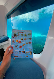 Photo n°30 de Piantarella Vision à Bonifacio (Attraction touristique)