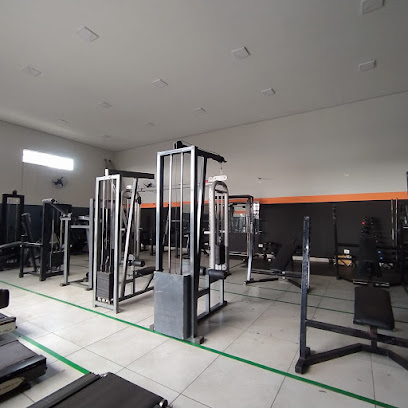 MUSCLE GYM ACADEMIA