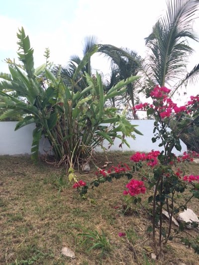 Photos of 360 Vieques