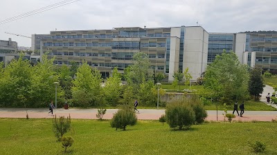 Özyeğin University