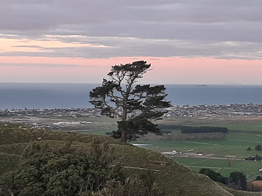 Papamoa Hills Cultural Heritage Regional Park - Thumbnail