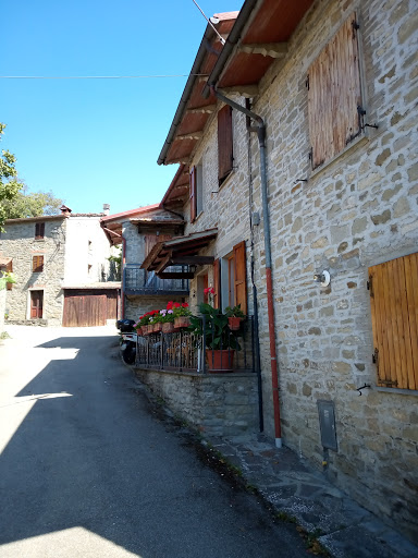 Dama in Casentino - Thumbnail