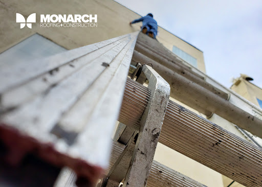 Monarch - Thumbnail