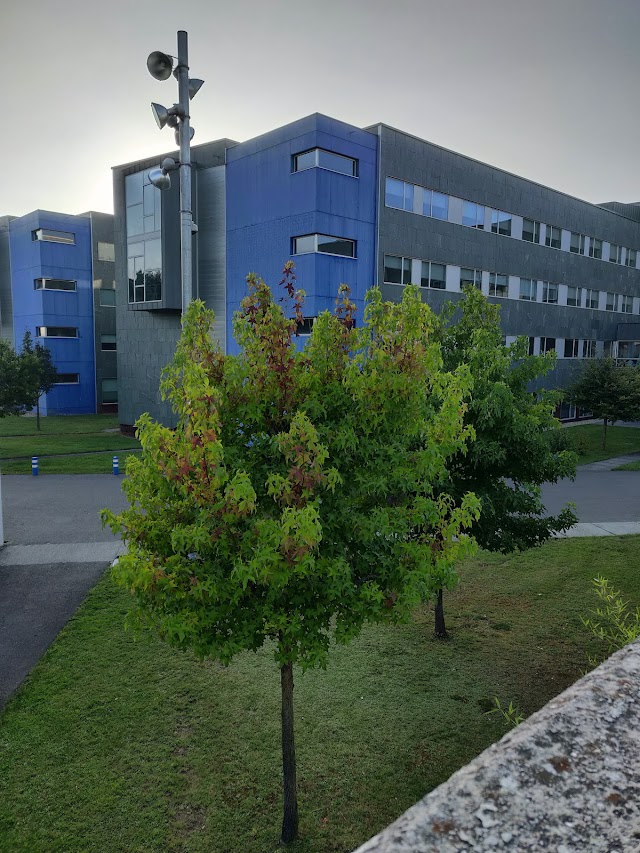 Hospital Lucus Augusti