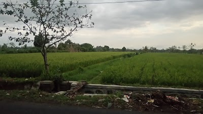 Photos of Taman Bunga Embung Pas Anwar