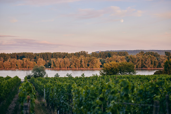 Weingut Josef Spreitzer by null