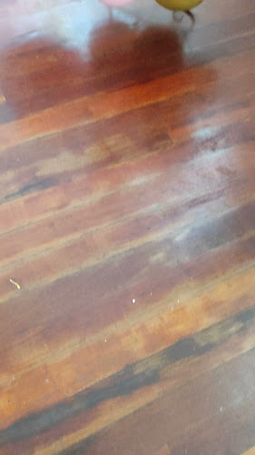 Indian Zaika Restaurant Papakura Open Times