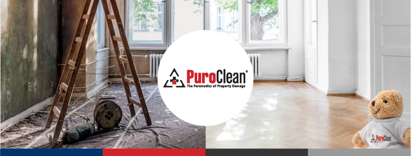 PuroClean of Newtown Square photo