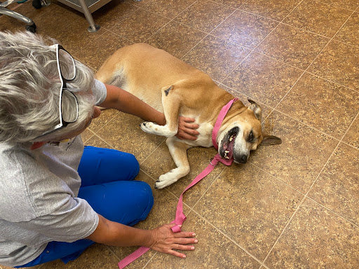 Paws of Hope Veterinary Clinic