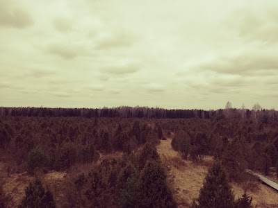 Photos of &Scaron;auklių riedulynas