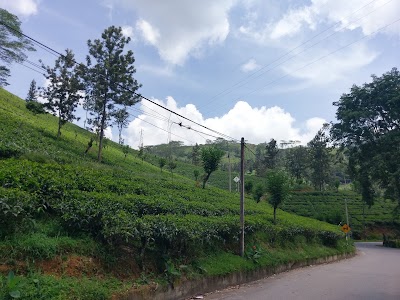 Photos of Rangala Villa Cottages
