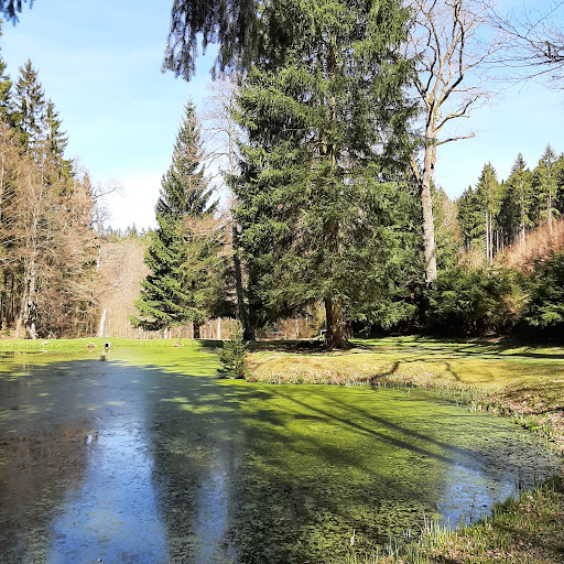 Steinsee - Visual