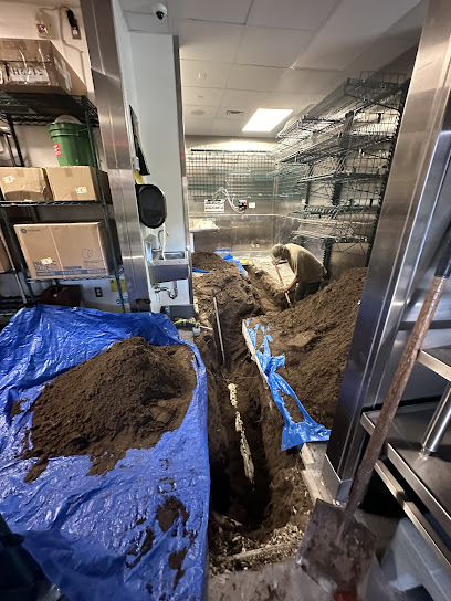 Alpine South Plumbing (ASP Florida LLC)