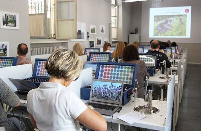 Múses - Accademia Europea delle Essenze