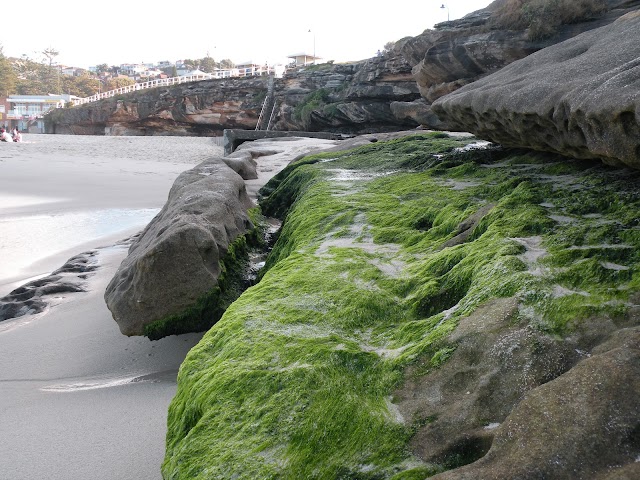 Bronte Beach