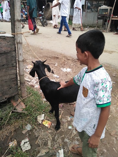 Photos of Jhaturdia Bazar