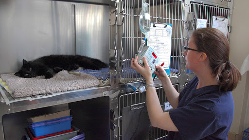RSPCA Newbrook Farm, Animal Centre, Hospital, Education Centre