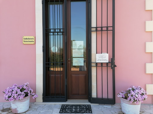 Ambulatorio Veterinario Dott.ssa Mengoli - Thumbnail