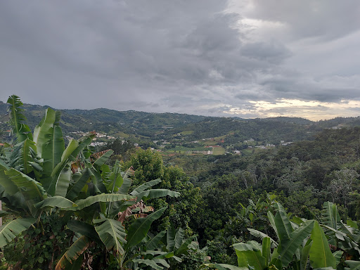 Pal' Tostao Café Naranjito Gallery - United States